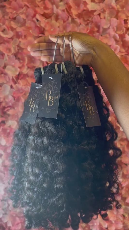 Burmese Curl